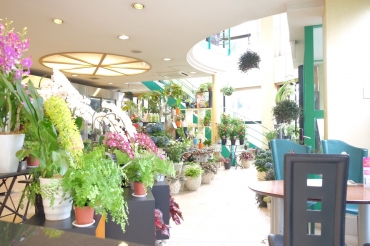「マスダ翠花園」　（愛知県名古屋市名東区）の花屋店舗写真4